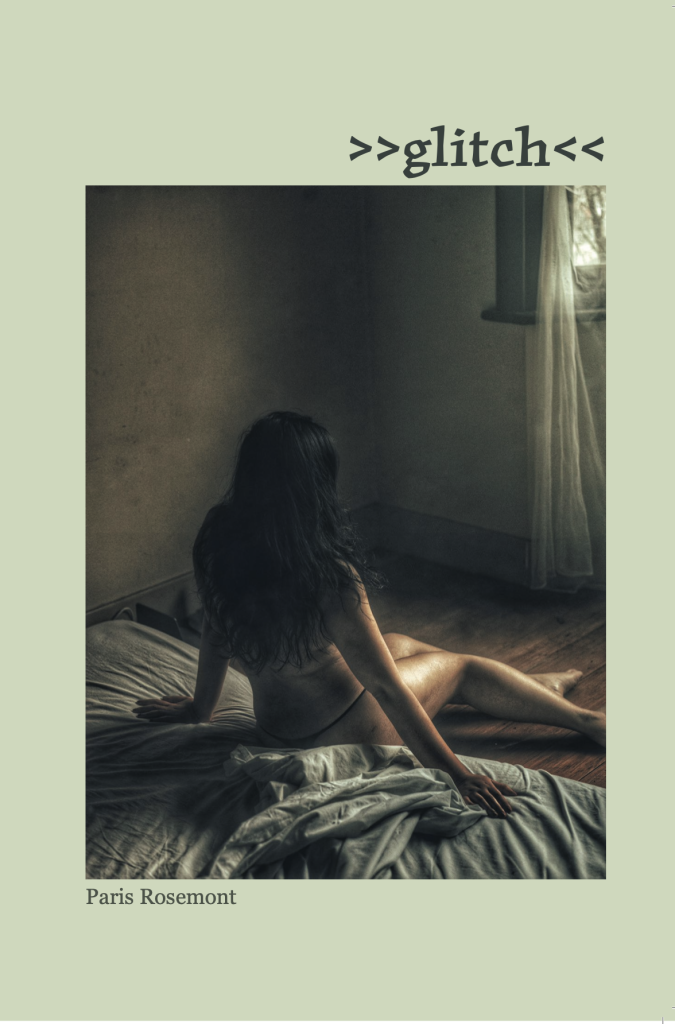 >>glitch<< by Paris Rosemont